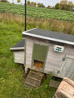 Kippenhok, Dieren en Toebehoren, Ophalen, Gebruikt