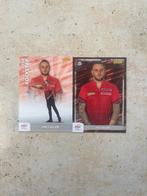 PDC Panini Kaarten Joe Cullen, Sport en Fitness, Darts, Ophalen of Verzenden