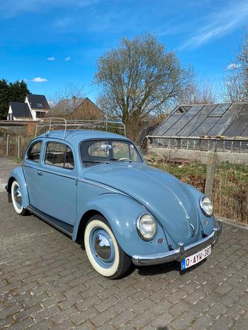 Volkswagen Kever 1958, Particulier, Essence, Achat