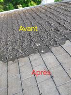Nettoyage toiture, Doe-het-zelf en Bouw, Ophalen of Verzenden