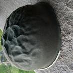 Usa helm 40,45, Enlèvement ou Envoi