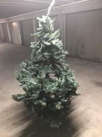 Kerstboom, Diversen, Kerst, Ophalen of Verzenden, Zo goed als nieuw