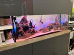 Juwel 350. 150x50x60 Inc. Eheim pomp, Dieren en Toebehoren, Ophalen, Gebruikt, Gevuld zoetwateraquarium