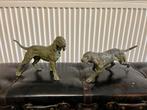 Deux chiens de chasse en bronze, Ophalen of Verzenden, Brons
