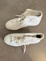 Witte converse met hak maat 35.5, Kleding | Dames, Schoenen, Ophalen, Wit, Zo goed als nieuw, Sneakers