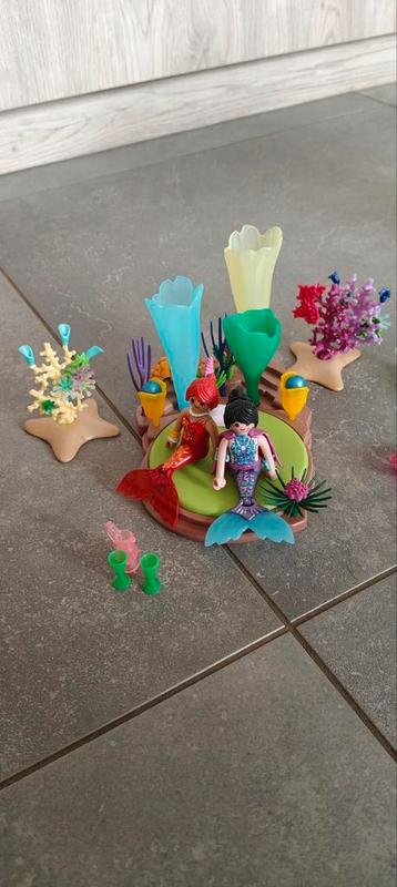 Koraalpaviljoen met lichtkoepel.  beschikbaar voor biedingen