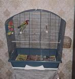 Grote vogelkooi (LEES DE BESCHRIJVING), Dieren en Toebehoren, Ophalen of Verzenden