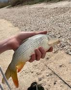 Fishing mistery, Ophalen of Verzenden, Nieuw, Complete set
