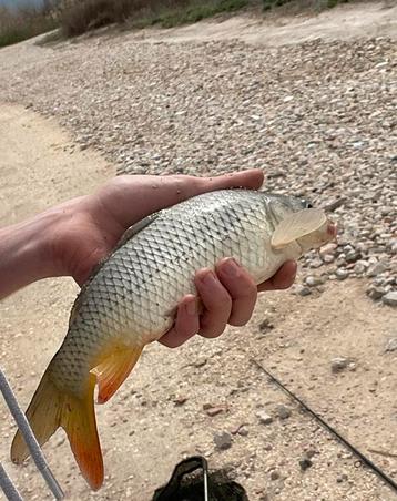 Fishing mistery beschikbaar voor biedingen