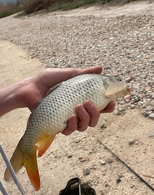 Fishing mistery, Watersport en Boten, Hengelsport | Roofvissen, Nieuw, Complete set, Ophalen of Verzenden