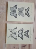 2 canvassen met vlinders, Ophalen, Minder dan 50 cm, Gebruikt, Overige typen
