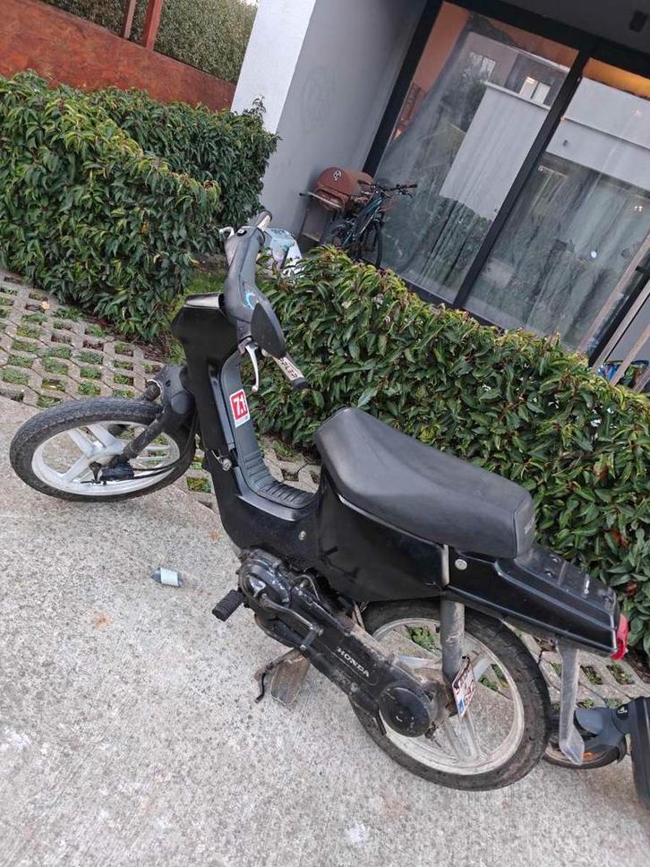 Honda Wallaro Classe A, Vélos & Vélomoteurs, Cyclomoteurs | Honda, Utilisé, Autres modèles, Classe A (25 km/h), Enlèvement