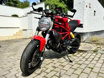 Ducati Monster 797+ nombreuses options