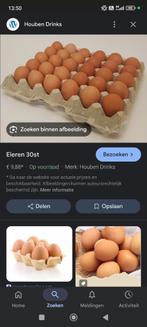 Verse eitjes gezocht in lier 30stuks