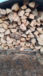 Brandhout te koop, Enlèvement, Chêne