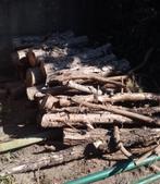 brandhout, Minder dan 3 m³, Ophalen, Overige houtsoorten, Stammen