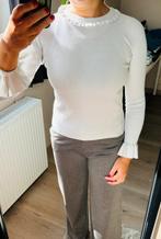 Licht grijs - zilver truitje, Kleding | Dames, Truien en Vesten, Maat 38/40 (M), Sweewë, Ophalen of Verzenden, Zo goed als nieuw