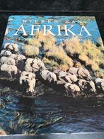 Dieren van Africa, Ophalen of Verzenden, Zo goed als nieuw