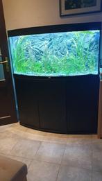 Juvel aquarium 260 Liter, Dieren en Toebehoren, Ophalen, Gebruikt, Leeg aquarium