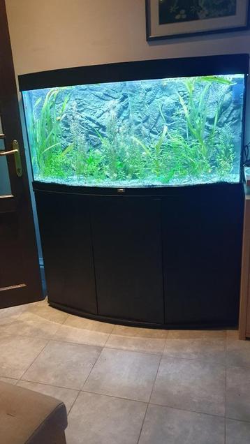 Juvel aquarium 260 Liter beschikbaar voor biedingen