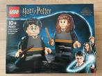 Lego 76393 Harry Potter en Hermione Granger, Ophalen of Verzenden, Zo goed als nieuw, Complete set, Lego