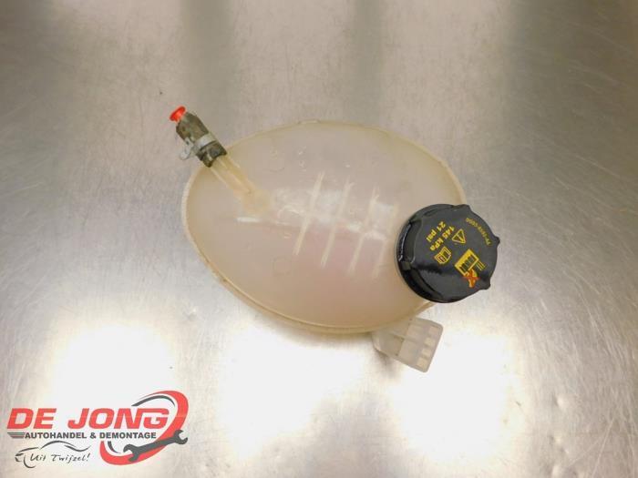 Expansievat van een Ford Ecosport, Auto-onderdelen, Overige Auto-onderdelen, Ford, Gebruikt, 3 maanden garantie, Ophalen of Verzenden