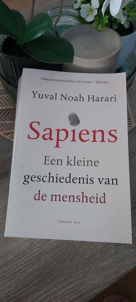 Livre Sapiens de Yuval Noah Harari, Livres, Philosophie, Neuf, Enlèvement