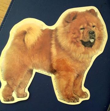 Twee stickers "Chow-chow" beschikbaar voor biedingen