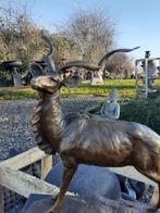 ANTILOPE (The Great Kudu) IN BRONS GESIGNEERD OP EEN SOKKEL, Ophalen of Verzenden, Brons