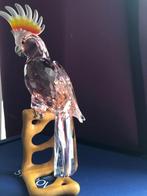 Swarovski beeld, Ophalen of Verzenden, Nieuw, Figuurtje