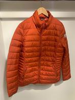 Oranje donsvest, Kleding | Dames, Oranje, C&A, Maat 42/44 (L), Zo goed als nieuw