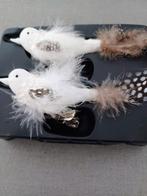 6 glazen vogeltjes, Enlèvement