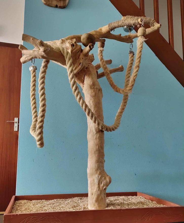 Echte javaboom voor grote papegaaien., Dieren en Toebehoren, Vogels | Toebehoren, Zo goed als nieuw, Overige typen, Ophalen