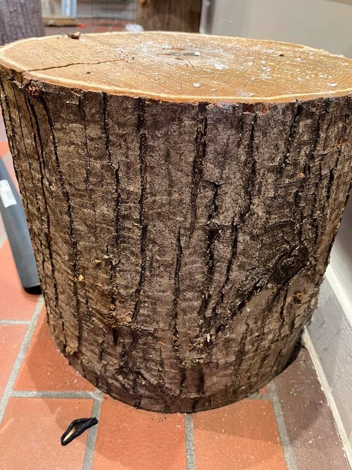 Set van 3 berkenstammen en houten stammen voor chofage, Huis en Inrichting, Woonaccessoires | Zuilen en Pilaren, Zo goed als nieuw