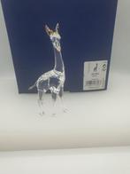 Swarovski African Sunset Giraf., Verzamelen, Ophalen of Verzenden, Zo goed als nieuw
