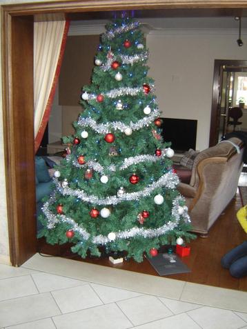 Kerstboom beschikbaar voor biedingen