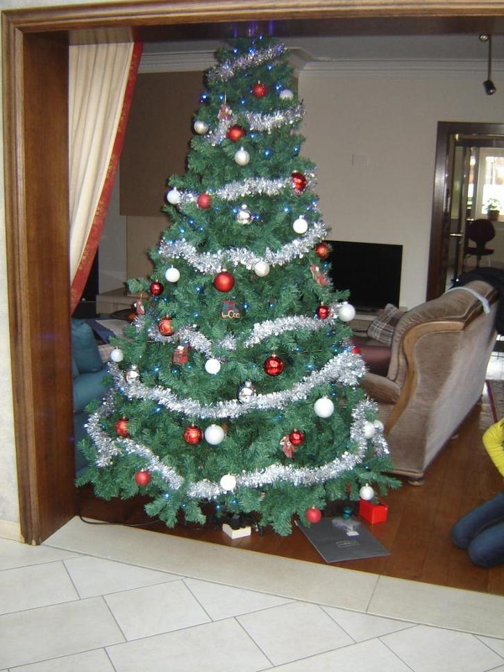 Kerstboom, Diversen, Kerst, Gebruikt, Ophalen