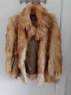 Veste chèvre (?), taille 38, Enlèvement, Porté