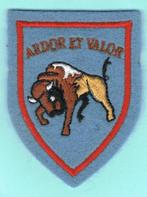 Belgian Air Force Sleeve Insignia ( MS 103 ), Collections, Emblème ou Badge, Armée de l'air, Enlèvement ou Envoi