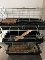 Kooi hok binnen €80, Dieren en Toebehoren, Ophalen, Hok, Konijn