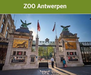 Tickets Zoo Antwerpen beschikbaar voor biedingen