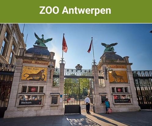 Tickets Zoo Antwerpen, Tickets en Kaartjes, Recreatie | Pretparken en Attractieparken, Drie personen of meer, Ticket of Toegangskaart