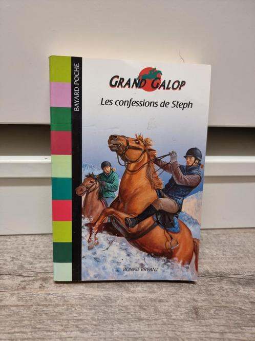 Roman Grand Galop n685, Livres, Livres pour enfants | Jeunesse | Moins de 10 ans, Comme neuf, Enlèvement ou Envoi