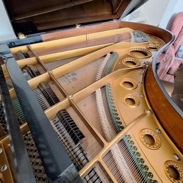 Bechstein vleugel lengte 221 cm bouwjaar ca. 1912 beschikbaar voor biedingen