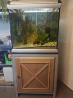 Mooie aquarium van 230l, Enlèvement