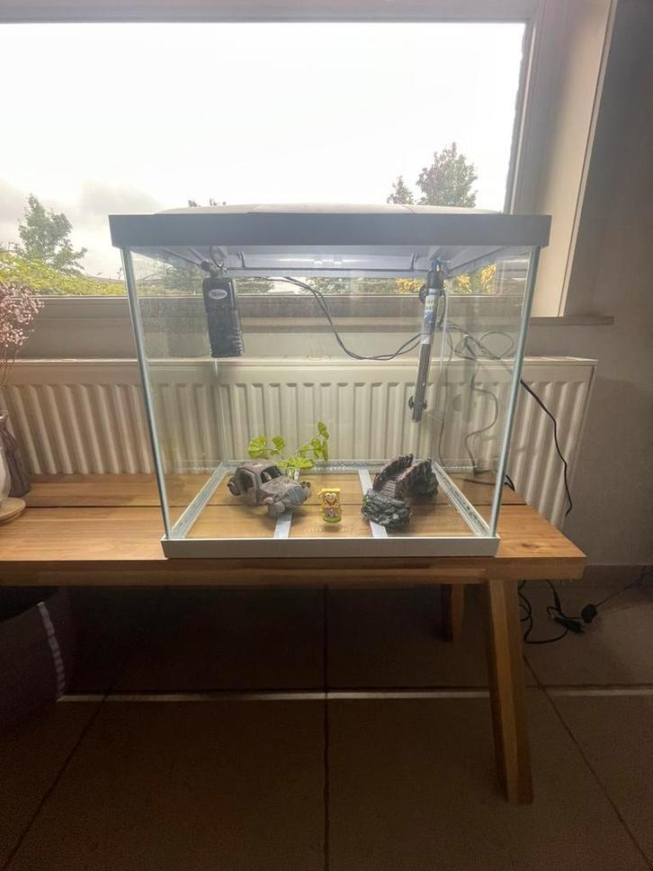 Superfish Aquarium Start 20 Goldfish Kit Led 16 l - Aquaria, Dieren en Toebehoren, Vissen | Aquaria en Toebehoren, Nieuw, Verlichting of Verwarming