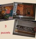 Puzzles, Enlèvement