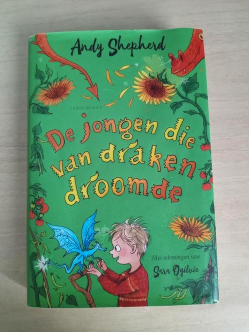 Andy Shepherd - De jongen die van draken droomde, Boeken, Kinderboeken | Jeugd | 10 tot 12 jaar, Zo goed als nieuw, Ophalen of Verzenden