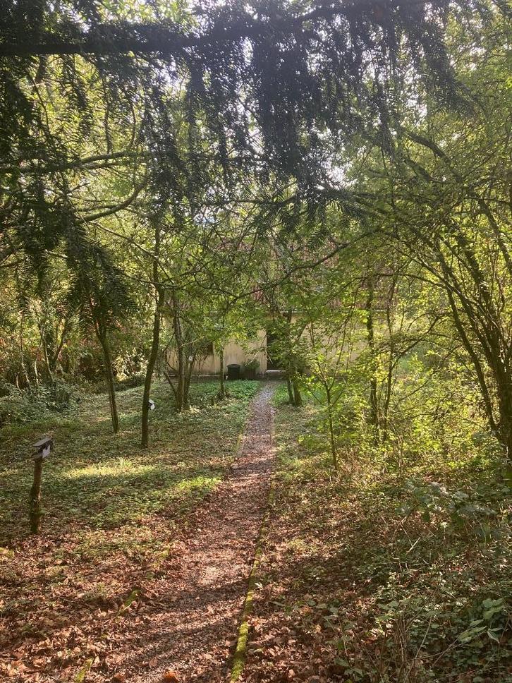 Chalet te koop in de Belgische Ardennen, op bouwgrond, Immo, Buitenverblijven te koop, Provincie Namen, Chalet