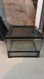 Terrarium, Amfibie, Met terrarium